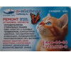 Магнитик Айсберг 2025г котёнок с бабочкой