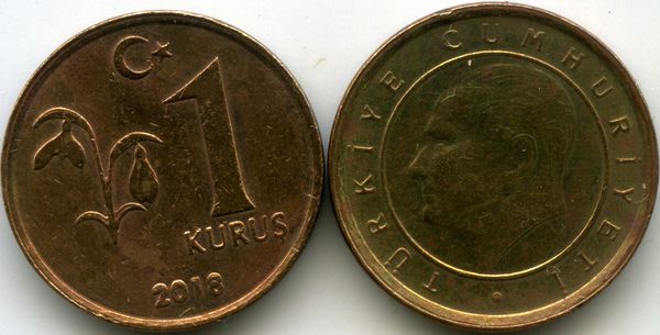Монета 1 куруш 2018г Турция