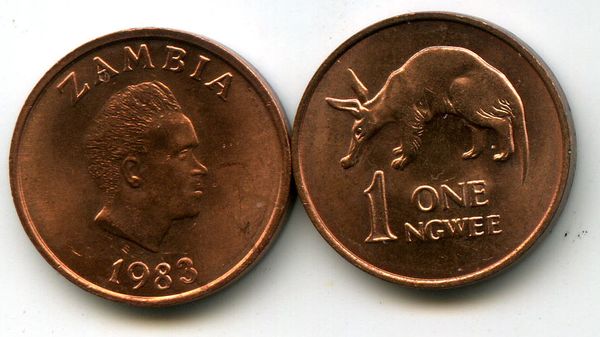 Монета 1 нгеве 1983г Замбия